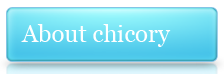 ABOUT CHICORY