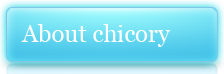 ABOUT CHICORY
