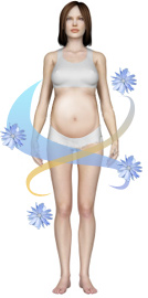 Advantage of chicory for pregnant women